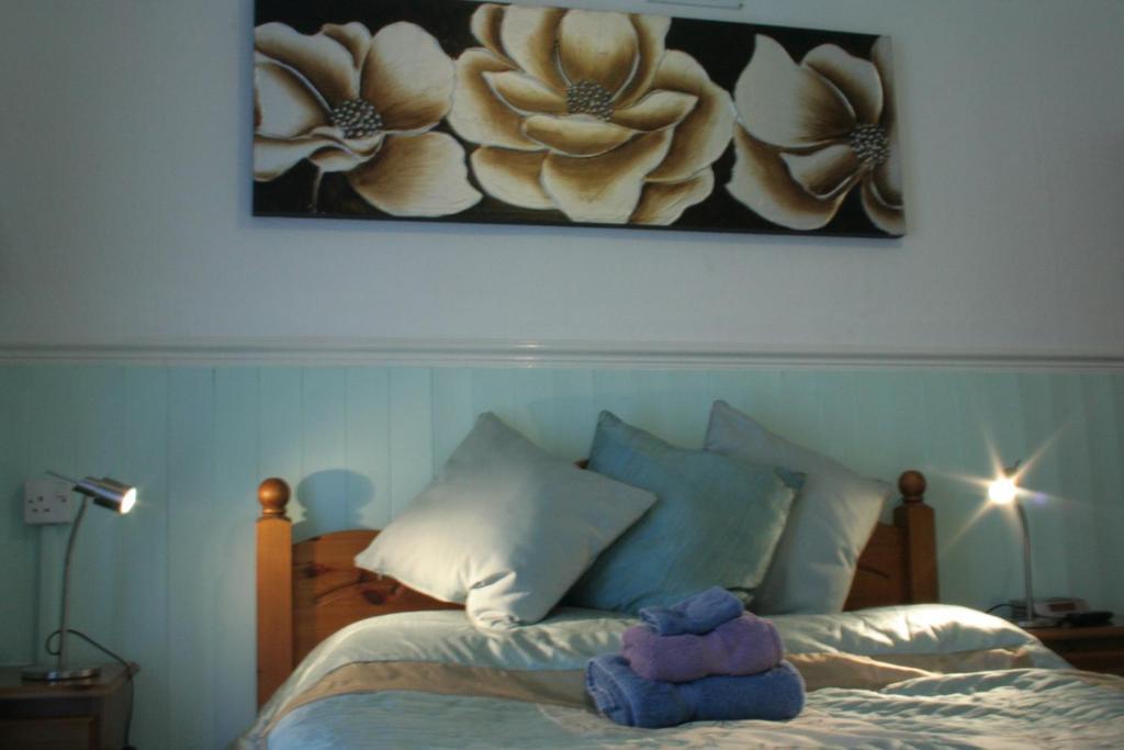 Devon View Guesthouse Swansea Værelse billede