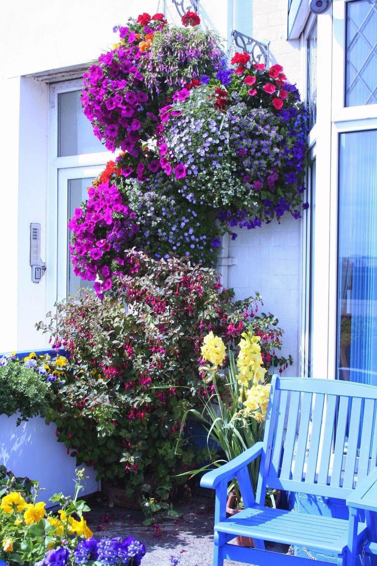 Devon View Guesthouse Swansea Eksteriør billede